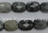 CEE81 15.5 inches 12*16mm faceted rectangle eagle eye jasper beads