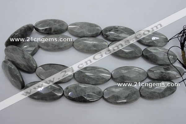 CEE85 15.5 inches 20*40mm faceted oval eagle eye jasper beads