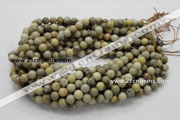 CFA03 15.5 inches 10mm round chrysanthemum agate gemstone beads