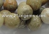 CFA04 15.5 inches 16mm round chrysanthemum agate gemstone beads