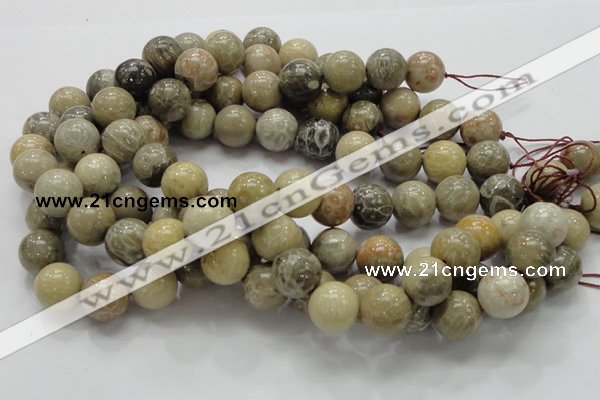 CFA04 15.5 inches 16mm round chrysanthemum agate gemstone beads