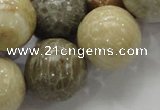 CFA05 15.5 inches 20mm round chrysanthemum agate gemstone beads