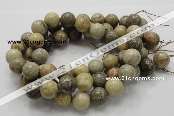 CFA05 15.5 inches 20mm round chrysanthemum agate gemstone beads