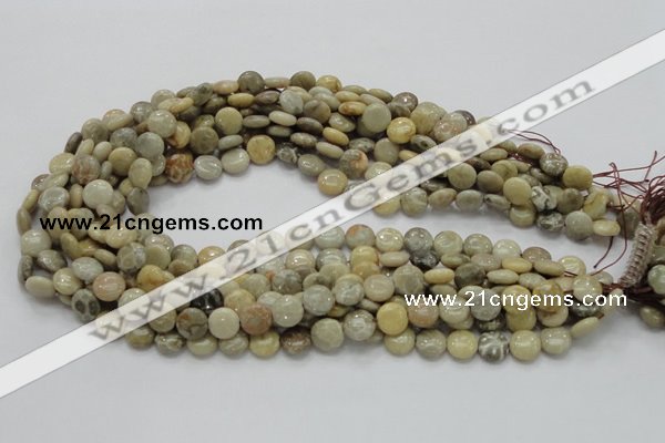 CFA06 15.5 inches 10mm flat round chrysanthemum agate gemstone beads