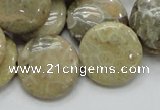 CFA08 15.5 inches 20mm flat round chrysanthemum agate gemstone beads