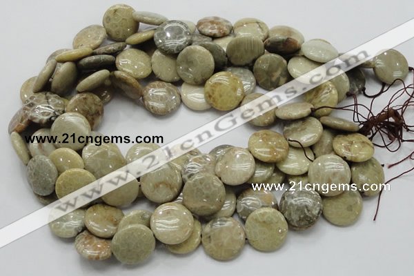 CFA08 15.5 inches 20mm flat round chrysanthemum agate gemstone beads