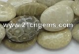 CFA11 15.5 inches 18*25mm oval chrysanthemum agate gemstone beads