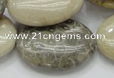 CFA14 15.5 inches 30*40mm oval chrysanthemum agate gemstone beads