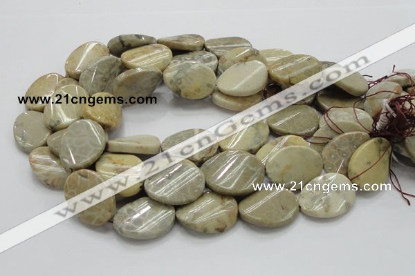 CFA21 15.5 inches 22*30mm twisted oval chrysanthemum agate beads