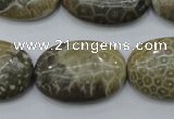 CFA216 15.5 inches 20*30mm oval chrysanthemum agate beads