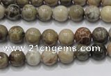 CFA26 15.5 inches 8mm round chrysanthemum agate gemstone beads