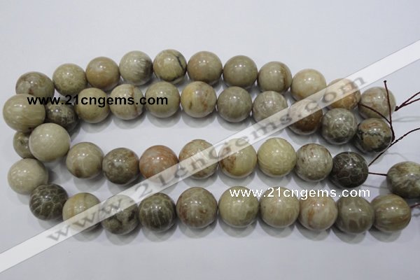 CFA27 15.5 inches 18mm round chrysanthemum agate gemstone beads