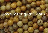 CFA31 15.5 inches 6mm round yellow chrysanthemum agate beads