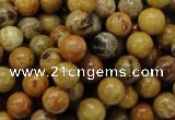 CFA32 15.5 inches 8mm round yellow chrysanthemum agate beads