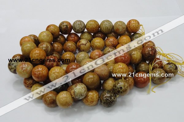 CFA34 15.5 inches 20mm round yellow chrysanthemum agate beads