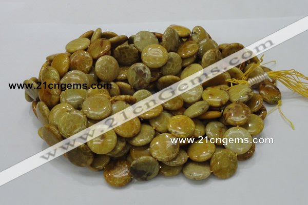 CFA43 15.5 inches 20mm flat round yellow chrysanthemum agate beads