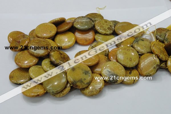 CFA45 15.5 inches 30mm flat round yellow chrysanthemum agate beads