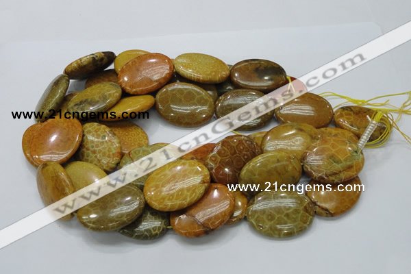 CFA50 15.5 inches 30*40mm oval yellow chrysanthemum agate beads