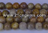 CFC200 15.5 inches 4mm round fossil coral beads wholesale