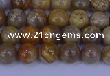 CFC201 15.5 inches 6mm round fossil coral beads wholesale