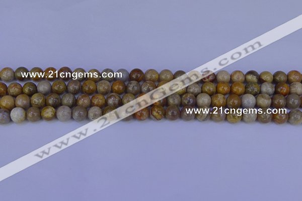 CFC201 15.5 inches 6mm round fossil coral beads wholesale