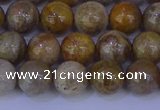 CFC202 15.5 inches 8mm round fossil coral beads wholesale