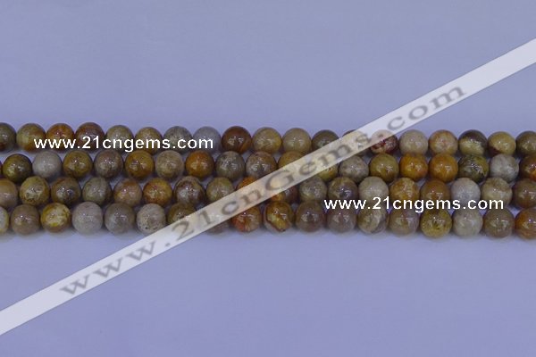 CFC202 15.5 inches 8mm round fossil coral beads wholesale