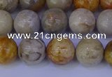 CFC203 15.5 inches 10mm round fossil coral beads wholesale