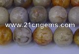 CFC203 15.5 inches 10mm round fossil coral beads wholesale