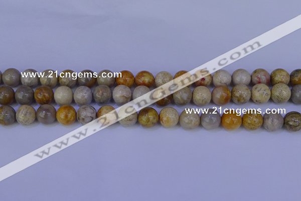 CFC203 15.5 inches 10mm round fossil coral beads wholesale