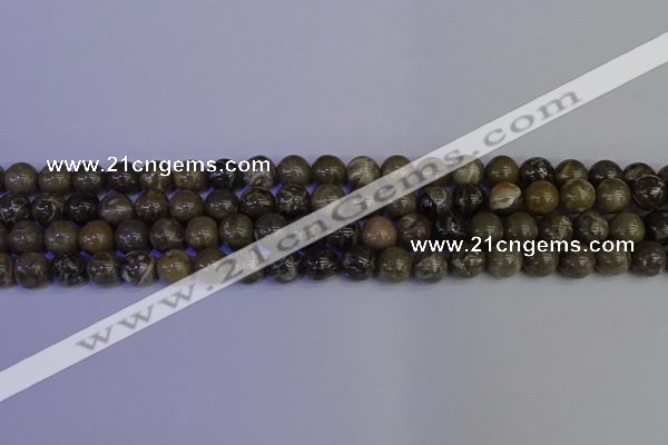 CFC212 15.5 inches 8mm round grey fossil coral beads wholesale