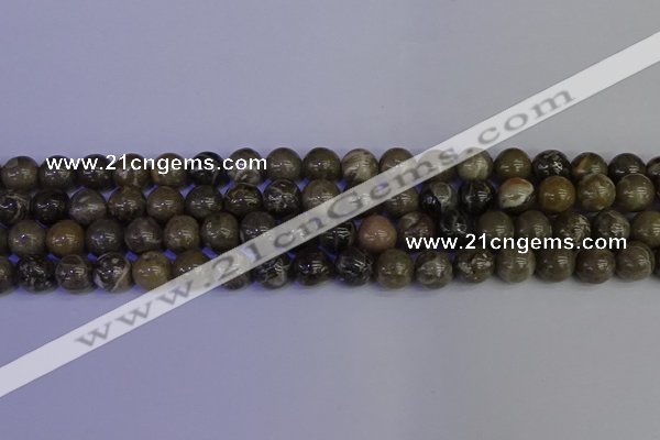 CFC213 15.5 inches 10mm round grey fossil coral beads wholesale