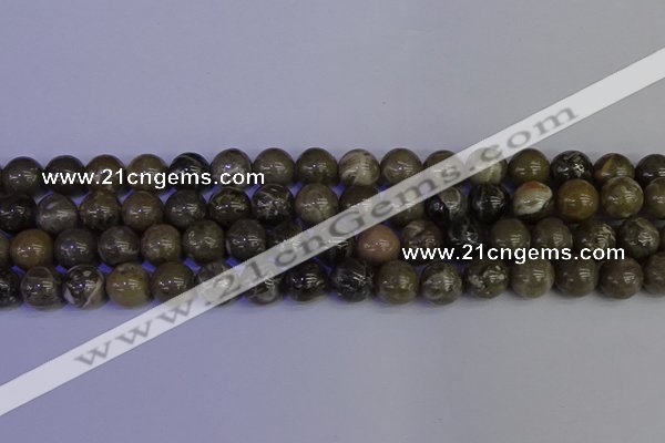 CFC214 15.5 inches 12mm round grey fossil coral beads wholesale