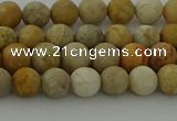 CFC221 15.5 inches 6mm round matte fossil coral beads wholesale