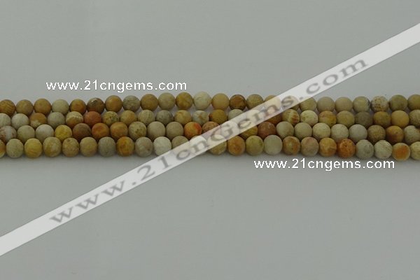 CFC221 15.5 inches 6mm round matte fossil coral beads wholesale