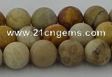 CFC222 15.5 inches 8mm round matte fossil coral beads wholesale