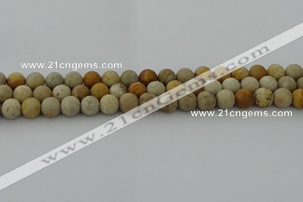 CFC222 15.5 inches 8mm round matte fossil coral beads wholesale