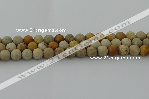 CFC223 15.5 inches 10mm round matte fossil coral beads wholesale