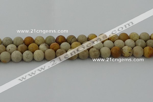 CFC223 15.5 inches 10mm round matte fossil coral beads wholesale