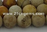 CFC224 15.5 inches 12mm round matte fossil coral beads wholesale