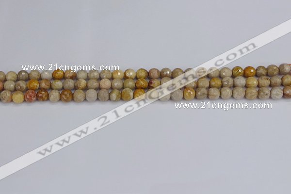 CFC228 15.5 inches 4mm faceted round fossil coral beads