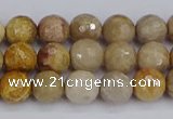 CFC229 15.5 inches 6mm faceted round fossil coral beads