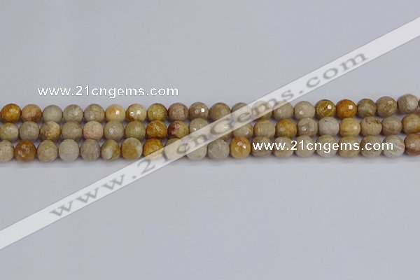 CFC229 15.5 inches 6mm faceted round fossil coral beads