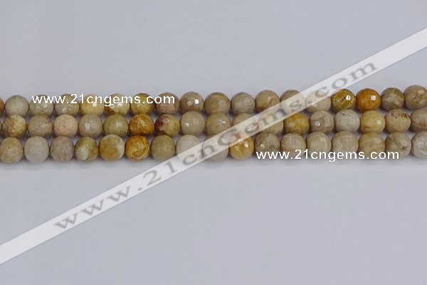 CFC230 15.5 inches 8mm faceted round fossil coral beads