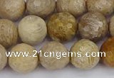 CFC231 15.5 inches 10mm faceted round fossil coral beads