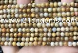 CFC320 15.5 inches 4mm round fossil coral beads wholesale