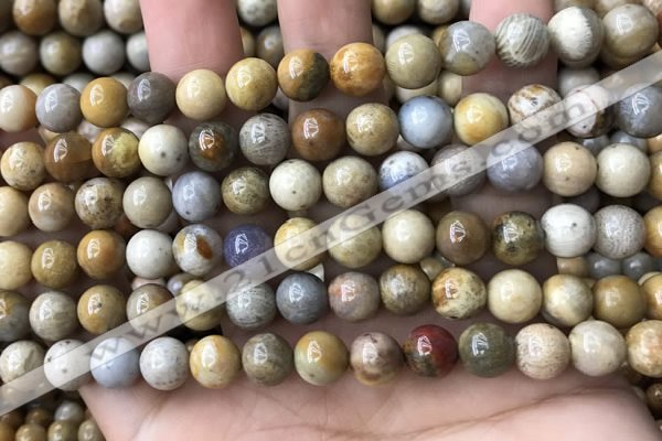 CFC322 15.5 inches 8mm round fossil coral beads wholesale