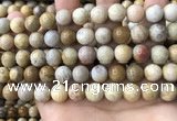 CFC323 15.5 inches 10mm round fossil coral beads wholesale