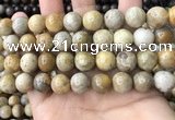 CFC324 15.5 inches 12mm round fossil coral beads wholesale