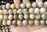 CFC325 15.5 inches 14mm round fossil coral beads wholesale